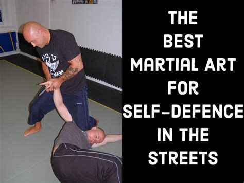 What Is the Best Martial Art for Fighting: A Spectrum of Views