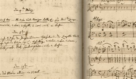 Who Owns Mozart Music: A Diverse Exploration of the Intangible Heritage